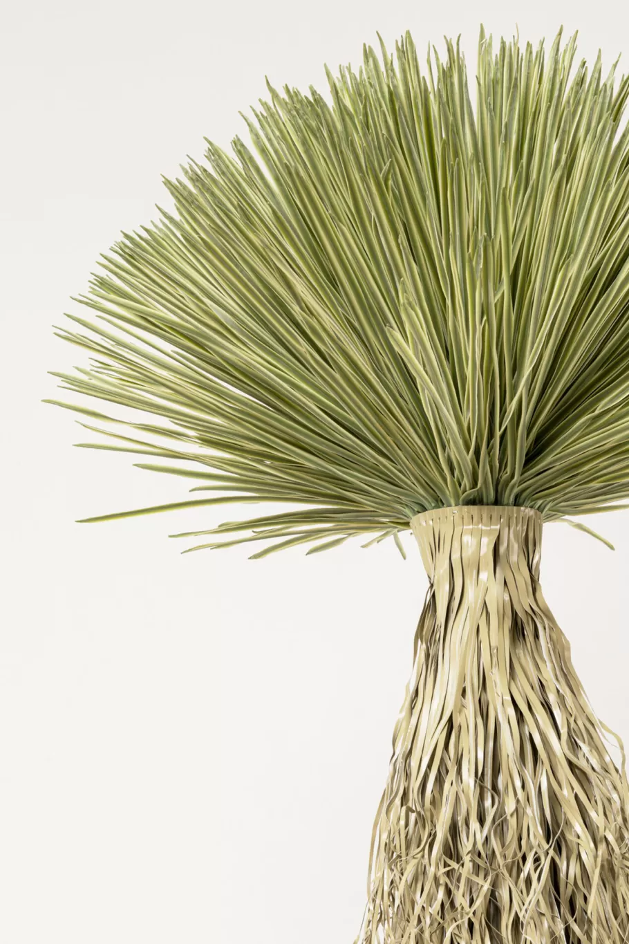 KARE Design Woondecoratie | Kasten<Deco Plant Yucca Rostrata 240cm