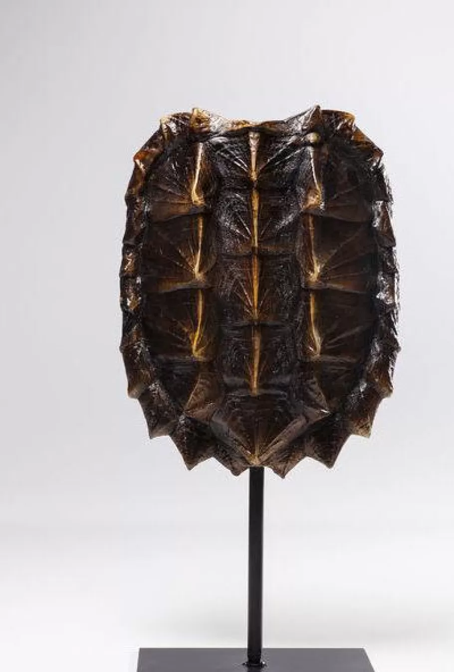 KARE Design Opbergers | Woondecoratie<Decofiguur Schildpad 53cm