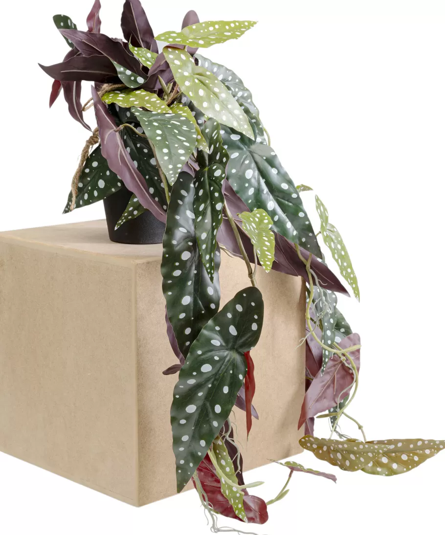 KARE Design Kasten | Tuinmeubelen<Decoplant Begonia 45cm