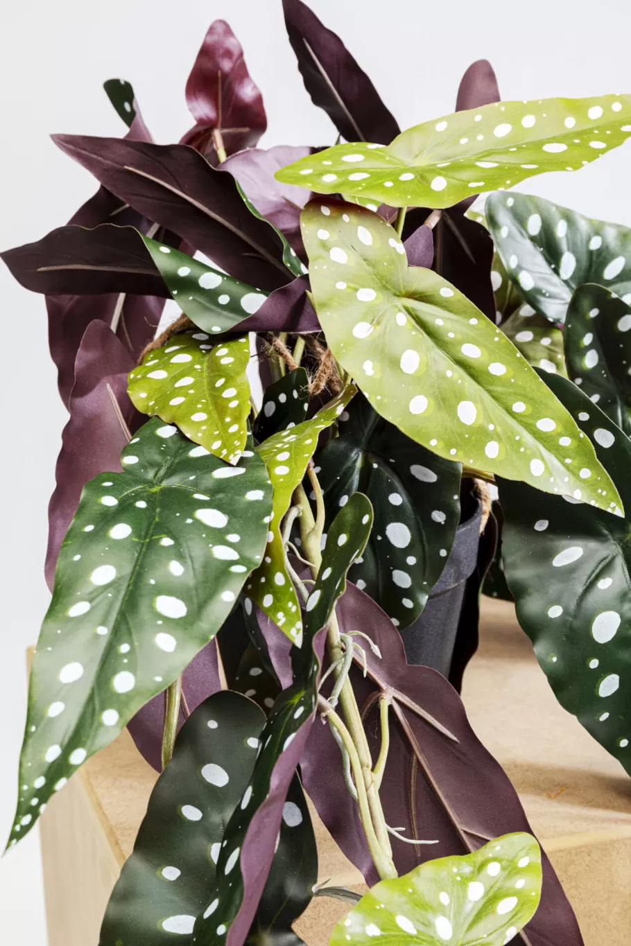 KARE Design Kasten | Tuinmeubelen<Decoplant Begonia 45cm