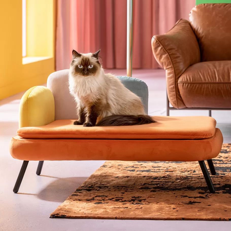 KARE Design Dierenaccessoires | Kasten<Dierenbed Diva Orange