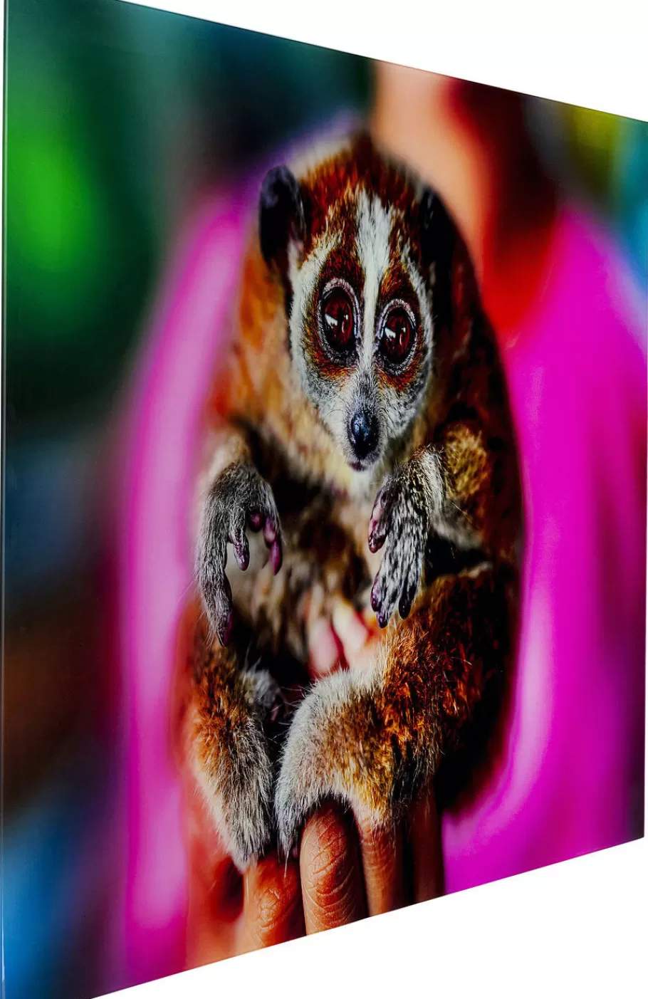 KARE Design Wanddecoratie | Kasten<Glasschilderij Slow Loris 80x120cm