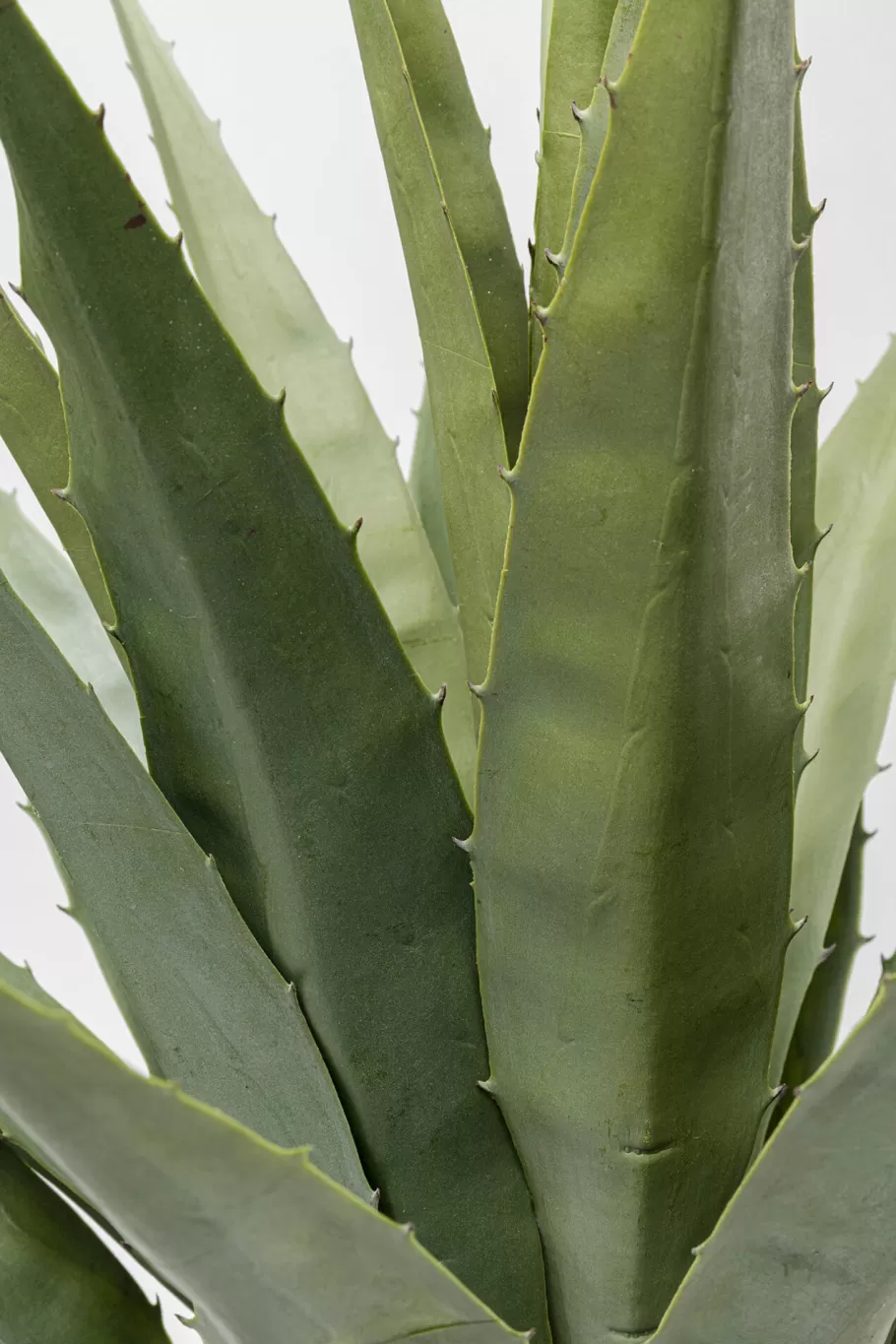 KARE Design Woondecoratie | Kasten<Kunstplant Agave 85cm