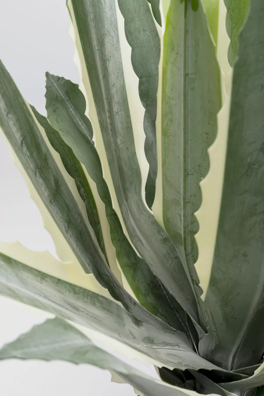 KARE Design Woondecoratie | Kasten<Kunstplant Agave 50cm