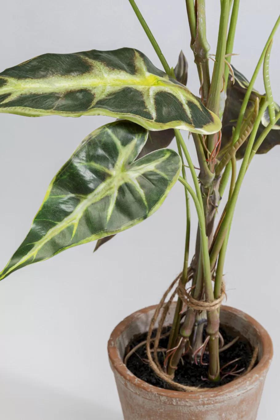 KARE Design Woondecoratie | Kasten<Kunstplant Alocasia 80cm