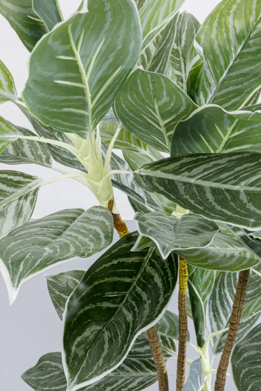 KARE Design Woondecoratie | Kasten<Kunstplant Calathea 140cm