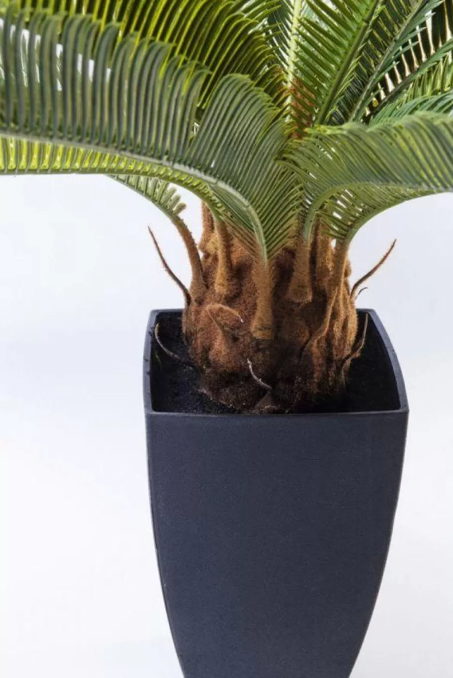 KARE Design Woondecoratie | Kasten<Kunstplant Cycas Boom 78cm