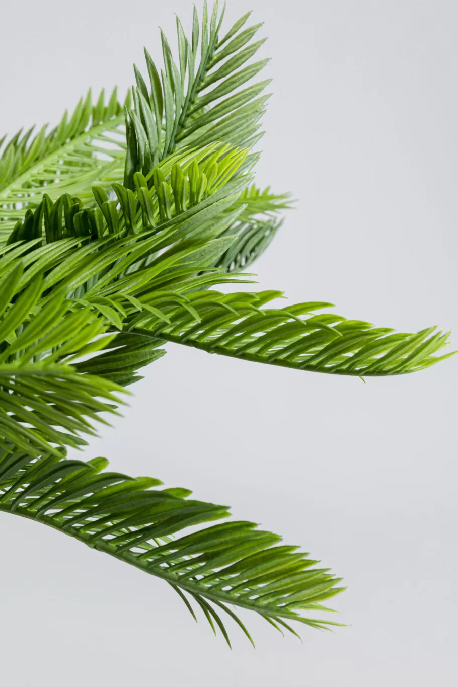 KARE Design Woondecoratie | Kasten<Kunstplant Cycas 70cm