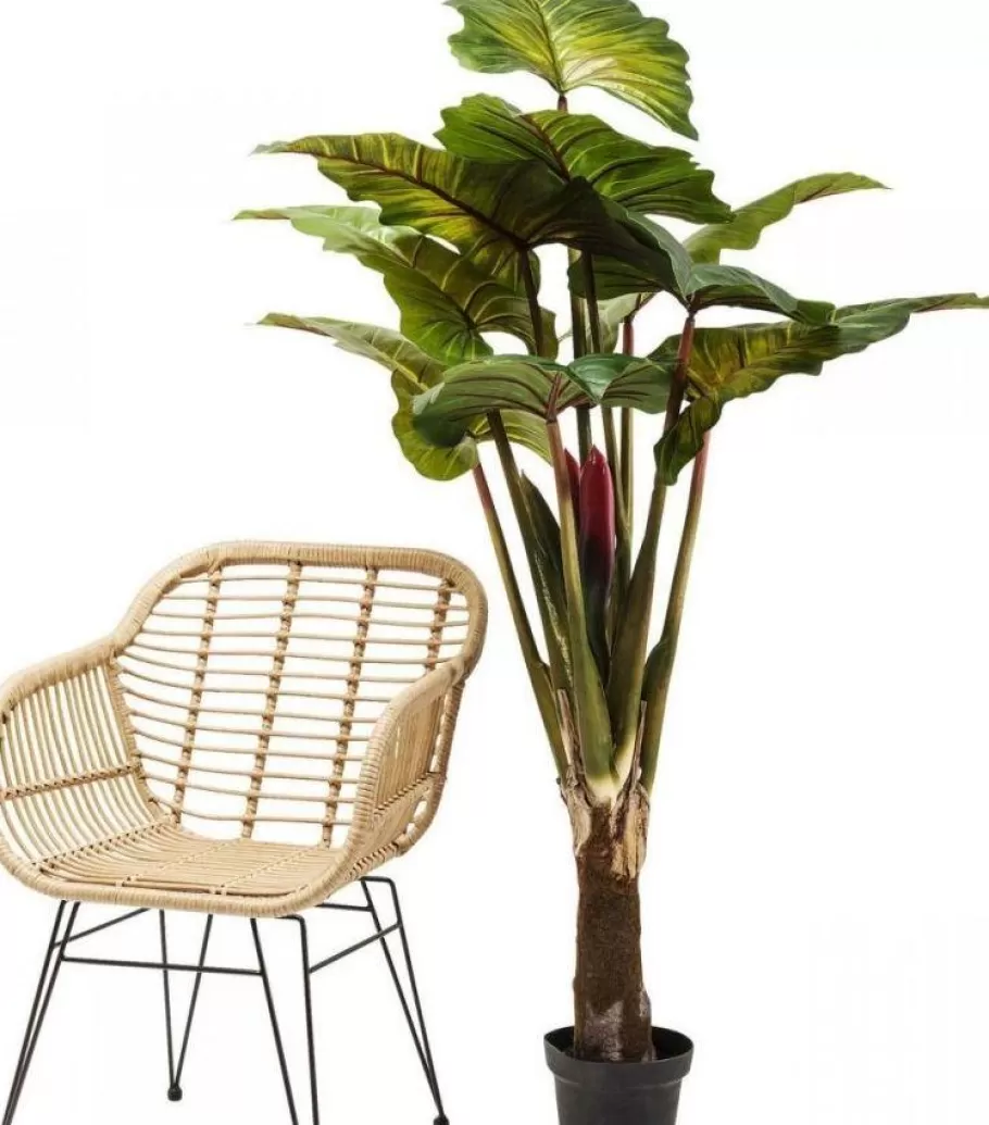 KARE Design Woondecoratie | Kasten<Kunstplant Rainforest Groen 160cm